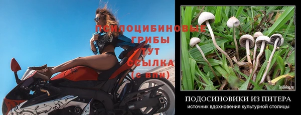 прущая мука Алексин