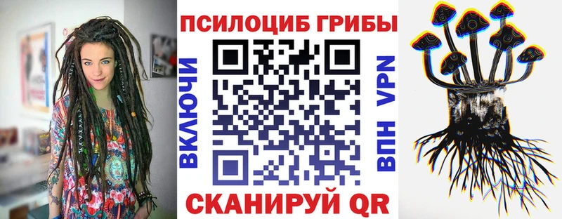 Псилоцибиновые грибы Psilocybine cubensis  Олонец 