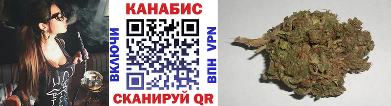 Марихуана план  Олонец 